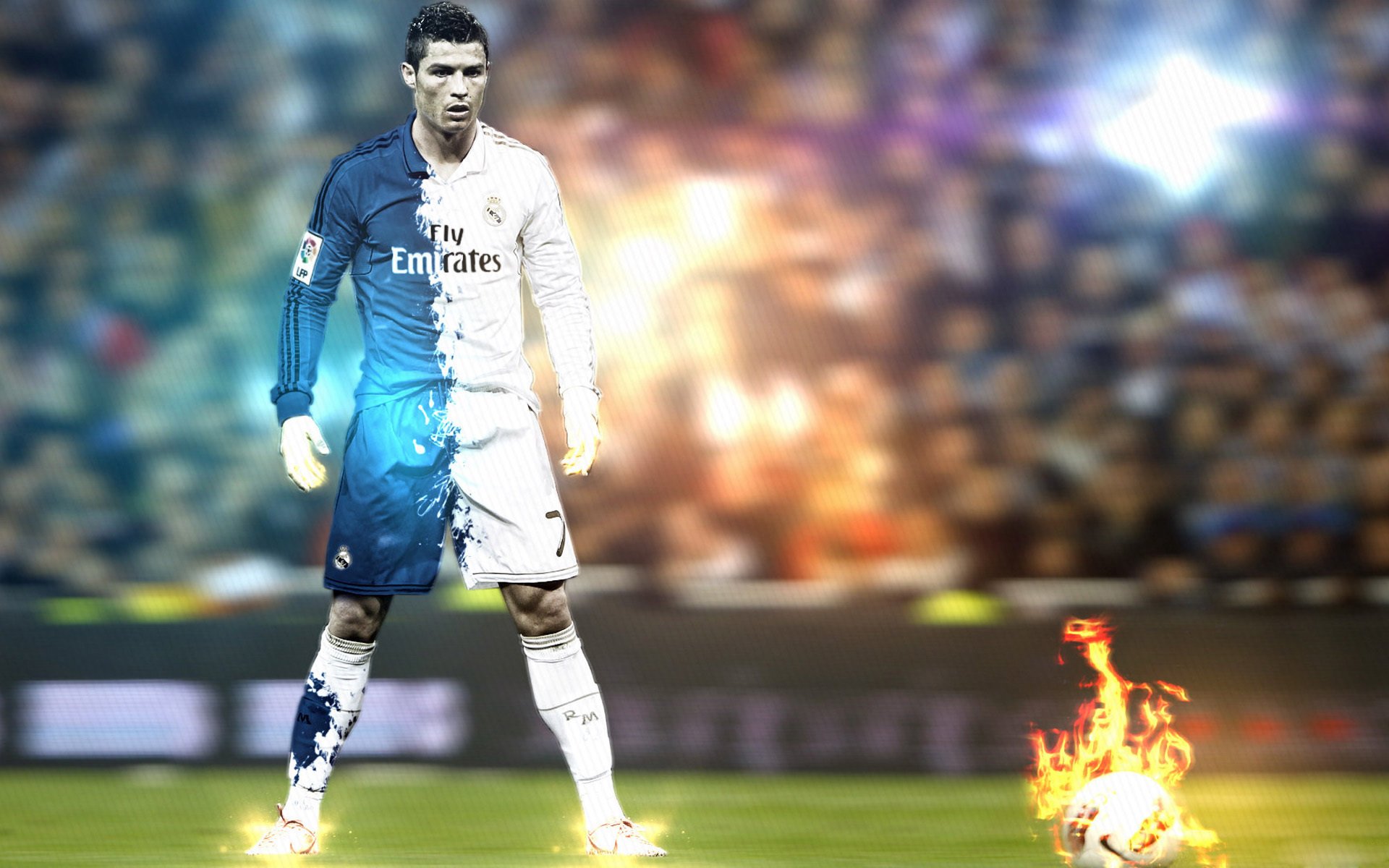 体育明星发布环保倡议视频引发全网转发,提倡环保的明星